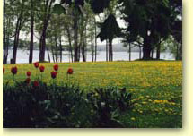 Edinboro Lake, courtesy Susan Hilliard